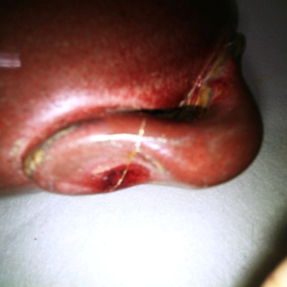 Bowl Serving Bowl Lobster Lid Glazed Pottery Burgundy Vintage Kitchen Decor - Picture 10 of 10